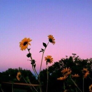 Meet your Posher, Elise